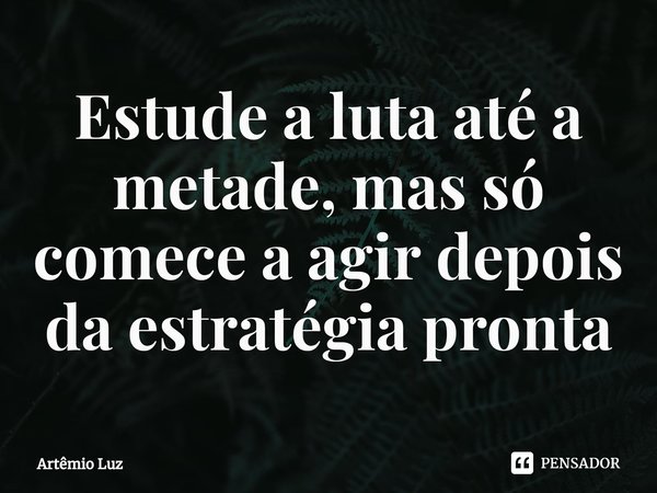 ⁠Estude a luta até a metade, mas só comece a agir depois da estratégia pronta... Frase de Artêmio Luz.