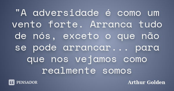 "A adversidade é como um vento forte. Arranca tudo de nós, exceto o que não se pode arrancar... para que nos vejamos como realmente somos... Frase de Arthur Golden.