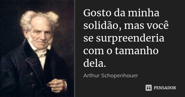 Gosto da minha solidão, mas você se surpreenderia com o tamanho dela.... Frase de Arthur Schopenhauer.