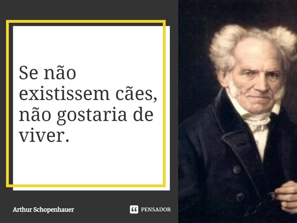 ⁠Se não existissem cães, não gostaria de viver.... Frase de Arthur Schopenhauer.