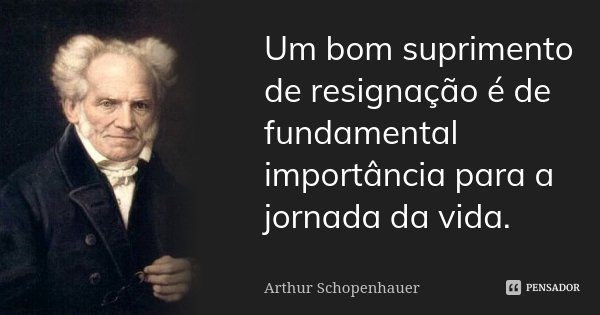 Um bom suprimento de resignação é de fundamental importância para a jornada da vida.... Frase de Arthur Schopenhauer.