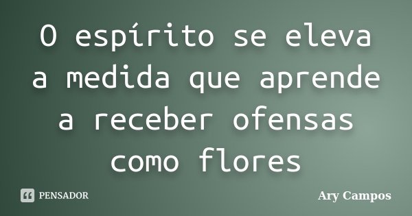 O espírito se eleva a medida que aprende a receber ofensas como flores... Frase de Ary Campos.