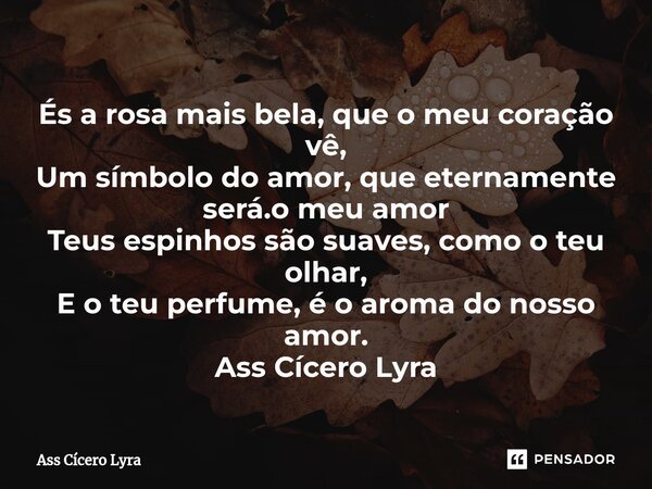⁠És a rosa mais bela, que o meu coração vê, Um símbolo do amor, que eternamente será.o meu amor Teus espinhos são suaves, como o teu olhar, E o teu perfume, é o... Frase de Ass Cícero Lyra.