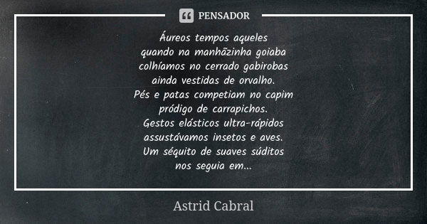 Áureos tempos aqueles quando na manhãzinha goiaba colhíamos no cerrado gabirobas ainda vestidas de orvalho. Pés e patas competiam no capim pródigo de carrapicho... Frase de Astrid Cabral.