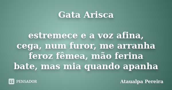 Gata Arisca estremece e a voz afina, cega, num furor, me arranha feroz fêmea, mão ferina bate, mas mia quando apanha... Frase de Ataualpa Pereira.