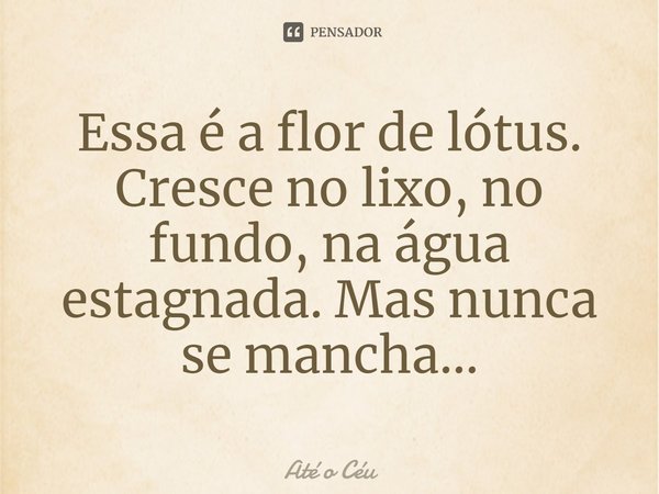 Essa é a flor de lótus. Cresce no lixo, no fundo, na água estagnada. Mas nunca se mancha...... Frase de Até o Céu.