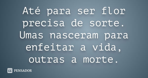 Até para ser flor precisa de sorte. Umas nasceram para enfeitar a vida, outras a morte.