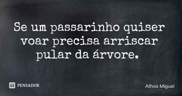 Se um passarinho quiser voar precisa arriscar pular da árvore.... Frase de Athos Miguel.