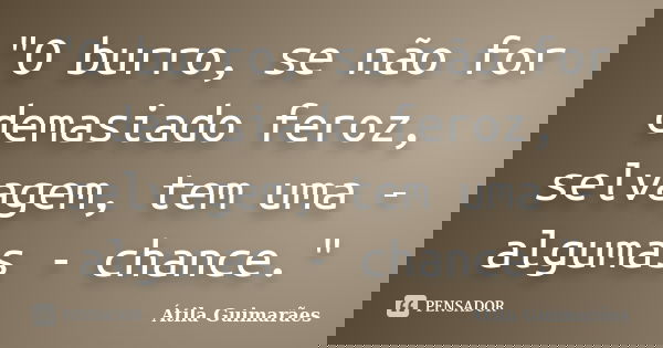 "O burro, se não for demasiado feroz, selvagem, tem uma - algumas - chance."... Frase de Átila Guimarães.