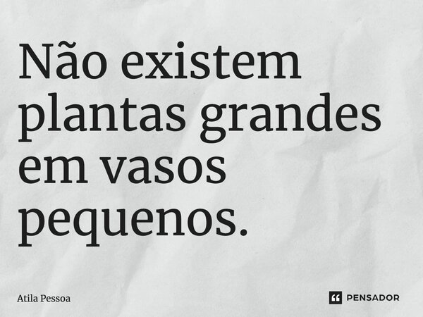 Não existem plantas grandes em vasos pequenos.... Frase de Atila Pessoa.