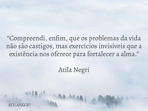 “Compreendi, enfim, que os problemas da vida não são castigos, mas exercícios invisíveis que a existência nos oferece para fortalecer a alma.” Atila Negri... Frase de ATILANEGRI.