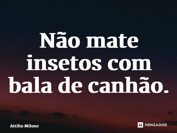 ⁠Não mate insetos com bala de canhão.... Frase de Attilio Milone.