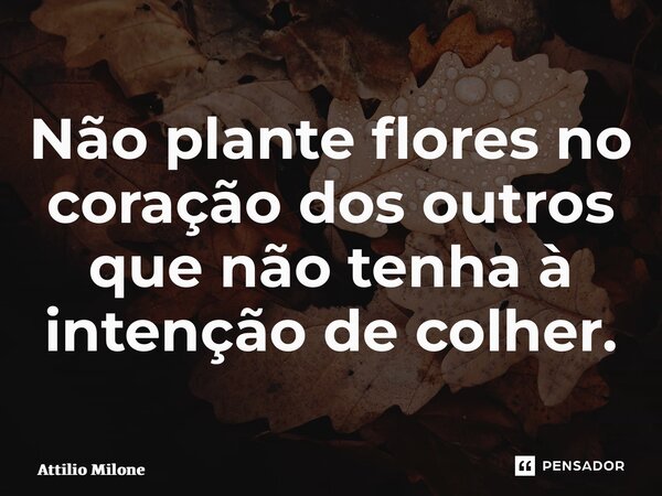 ⁠Não plante flores no coração dos outros que não tenha à intenção de colher.... Frase de Attilio Milone.