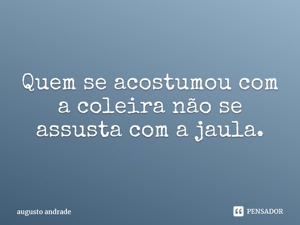 Quem se acostumou com a coleira não se assusta com a jaula.⁠... Frase de augusto andrade.