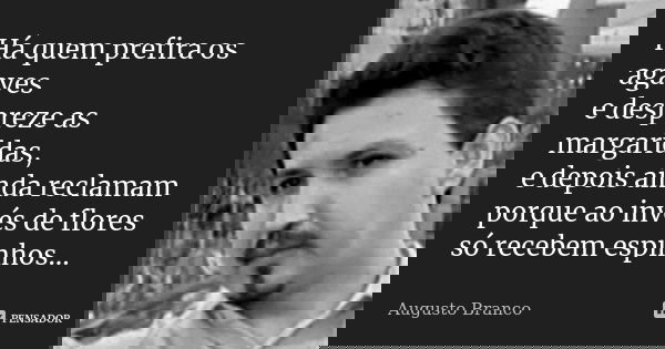 Há quem prefira os agaves e despreze as margaridas, e depois ainda reclamam porque ao invés de flores só recebem espinhos...... Frase de Augusto Branco.