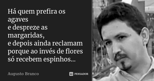 Há quem prefira os agaves e despreze as margaridas, e depois ainda reclamam porque ao invés de flores só recebem espinhos...... Frase de Augusto Branco.