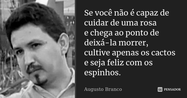 Se você não é capaz de cuidar de uma rosa e chega ao ponto de deixá-la morrer, cultive apenas os cactos e seja feliz com os espinhos.... Frase de Augusto Branco.