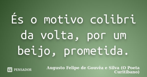 És o motivo colibri da volta, por um beijo, prometida.... Frase de Augusto Felipe de Gouvêa e Silva (O Poeta Curitibano).