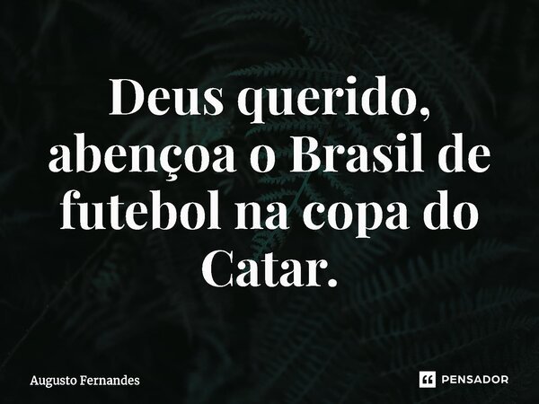 ⁠Deus querido, abençoa o Brasil de futebol na copa do Catar.... Frase de Augusto fernandes.