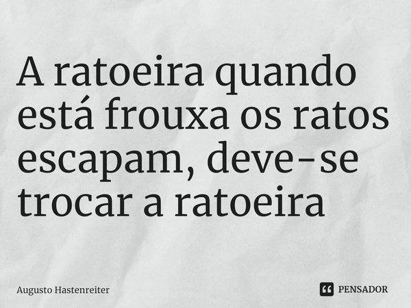 ⁠A ratoeira quando está frouxa os ratos escapam, deve-se trocar a ratoeira... Frase de AUGUSTO HASTENREITER.