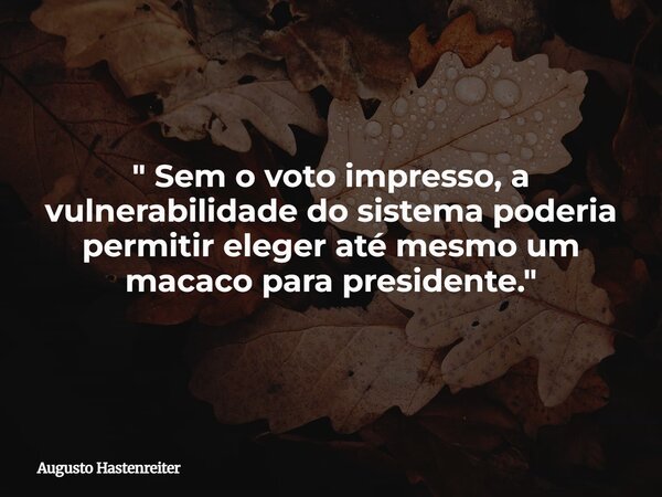 " Sem o voto impresso, a vulnerabilidade do sistema poderia permitir eleger até mesmo um macaco para presidente. "... Frase de Augusto Hastenreiter.