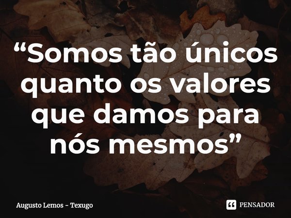 ⁠⁠“Somos tão únicos quanto os valores que damos para nós mesmos”... Frase de Augusto Lemos - Texugo.