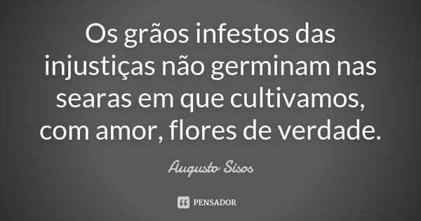 Os grãos infestos das injustiças não germinam nas searas em que cultivamos, com amor, flores de verdade.... Frase de Augusto Sisos.