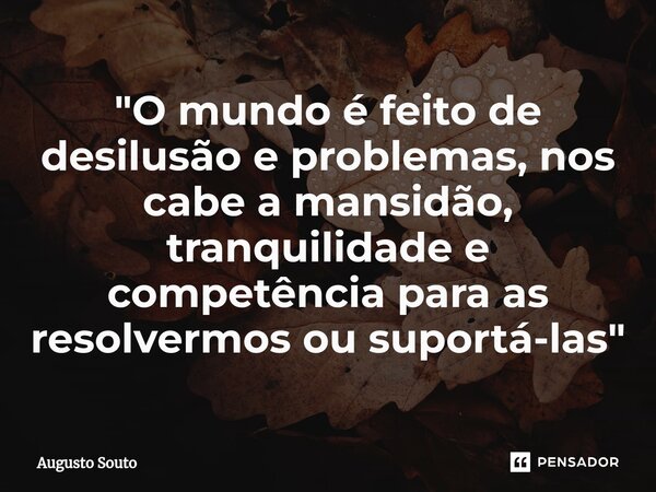 ⁠"O mundo é feito de desilusão e problemas, nos cabe a mansidão, tranquilidade e competência para as resolvermos ou suportá-las"... Frase de Augusto Souto.