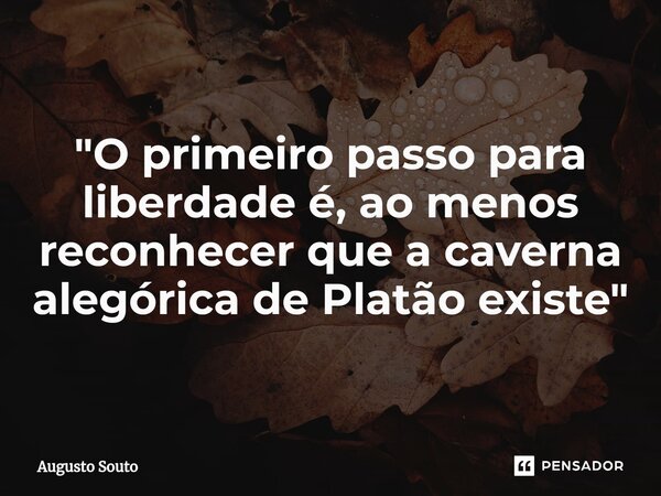 "O primeiro passo para liberdade é, ao menos reconhecer que a caverna alegórica de Platão existe"... Frase de Augusto Souto.