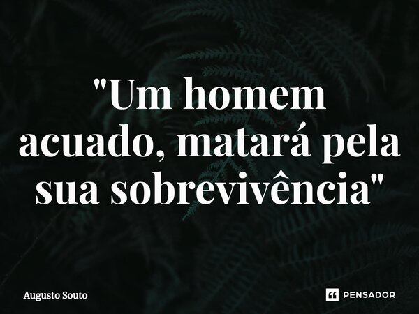 ⁠"Um homem acuado, matará pela sua sobrevivência"... Frase de Augusto Souto.