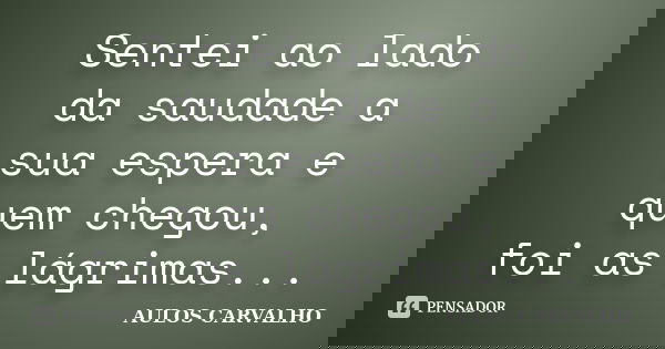 Sentei ao lado da saudade a sua espera e quem chegou, foi as lágrimas...... Frase de Aulos Carvalho.