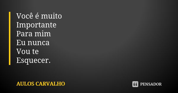 Você é muito Importante Para mim Eu nunca Vou te Esquecer.... Frase de aulos carvalho.