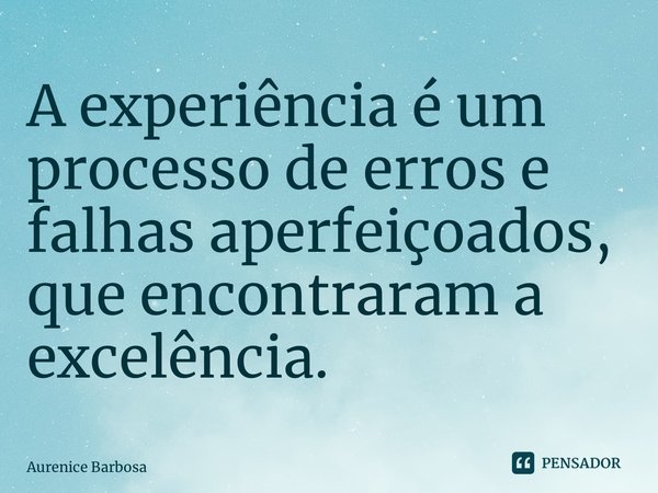 ⁠⁠A experiência é um processo de erros e falhas aperfeiçoados, que encontraram a excelência.... Frase de Aurenice Barbosa.