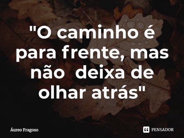 "O caminho é para frente, mas não deixa de olhar atrás "⁠... Frase de Áureo Fragoso.