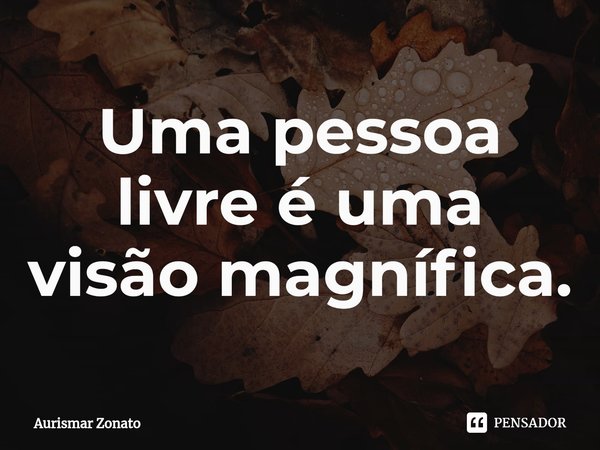 ⁠Uma pessoa livre é uma visão magnífica.... Frase de Aurismar Zonato.