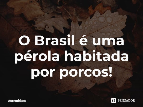 ⁠O Brasil é uma pérola habitada por porcos!... Frase de Autembium.
