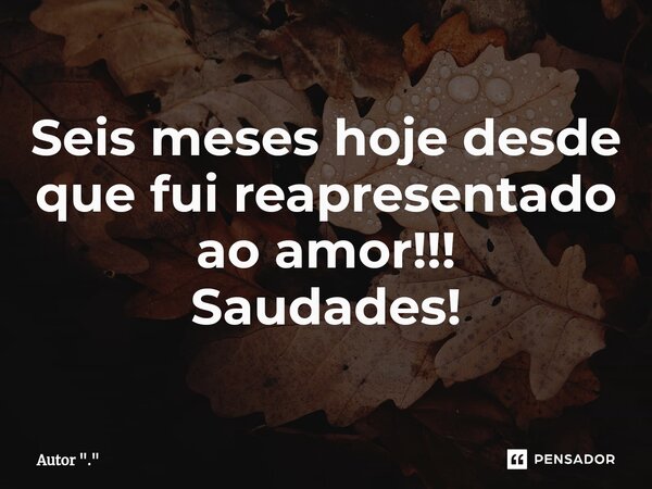 Seis meses hoje desde que fui reapresentado ao amor⁠!!! Saudades!... Frase de Autor 