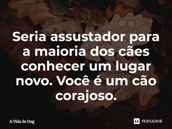 ⁠Seria assustador para a maioria dos cães conhecer um lugar novo. Você é um cão corajoso.... Frase de A Vida de Dug.