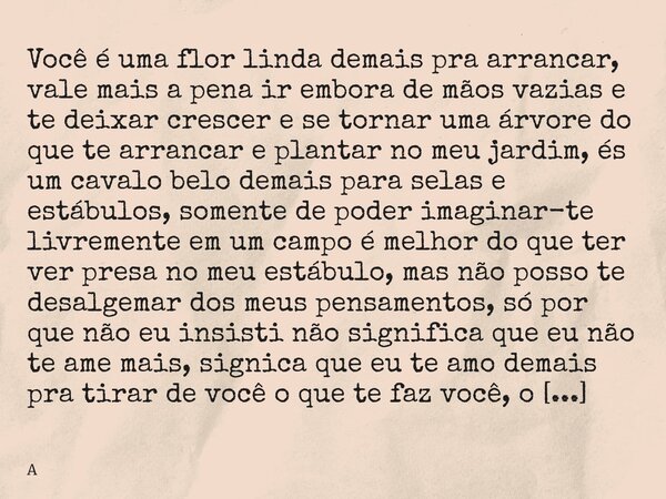 Você é uma flor linda demais pra arrancar, vale mais a pena ir embora de mãos vazias e te deixar crescer e se tornar uma árvore do que te arrancar e plantar no ... Frase de A.