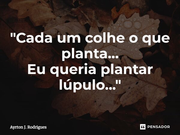 ⁠"Cada um colhe o que planta... Eu queria plantar lúpulo..."... Frase de Ayrton J. Rodrigues.
