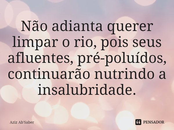 ⁠Não adianta querer limpar o rio, pois seus afluentes, pré-poluídos, continuarão nutrindo a insalubridade.... Frase de Aziz Ab'Saber.