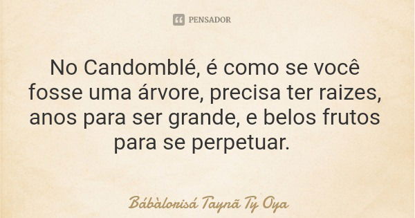No Candomblé, é como se você fosse uma árvore, precisa ter raizes, anos para ser grande, e belos frutos para se perpetuar.... Frase de Bábàlorisá Taynã Ty Oya.