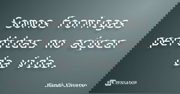 Somos formigas perdidas no açúcar da vida.... Frase de Banda Enverso.