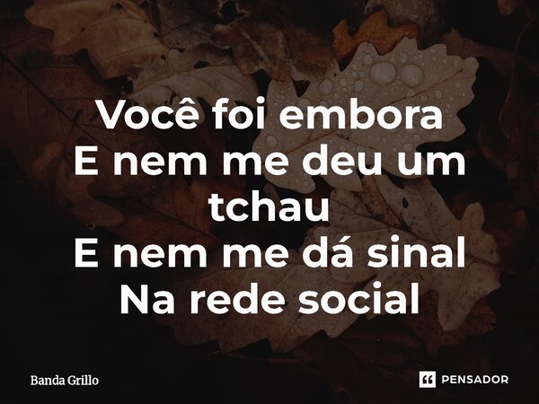 ⁠Você foi embora E nem me deu um tchau E nem me dá sinal Na rede social... Frase de Banda Grillo.
