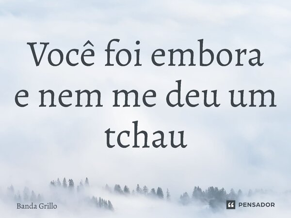 ⁠Você foi embora enem me deu um tchau... Frase de Banda Grillo.