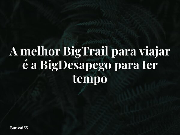 A melhor BigTrail para viajar é a BigDesapego para ter tempo... Frase de Banzai55.