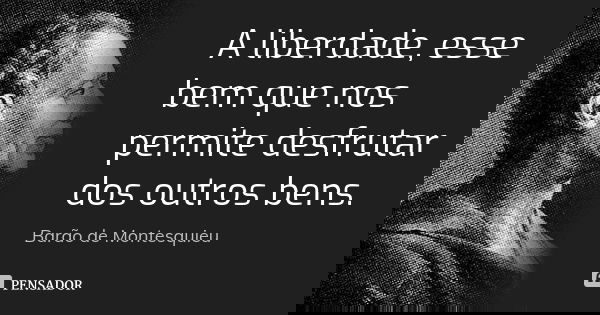 A liberdade, esse bem que nos permite desfrutar dos outros bens.... Frase de Barão de Montesquieu.
