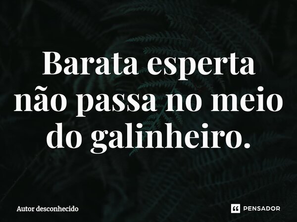 ⁠Barata esperta não passa no meio do galinheiro.... Frase de Autor desconhecido.