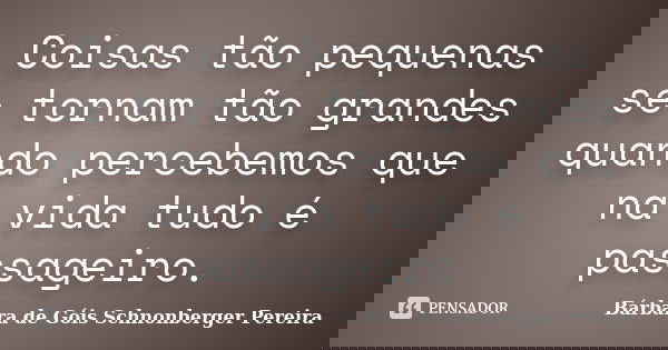 Coisas tão pequenas se tornam tão grandes quando percebemos que na vida tudo é passageiro.... Frase de Bárbara de Góis Schnonberger Pereira.
