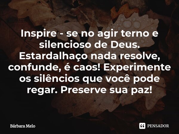 ⁠Inspire - se no agir terno e silencioso de Deus. Estardalhaço nada resolve, confunde, é caos! Experimente os silêncios que você pode regar. Preserve sua paz!... Frase de Bárbara Melo.